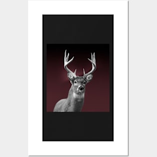 Buck Posters and Art